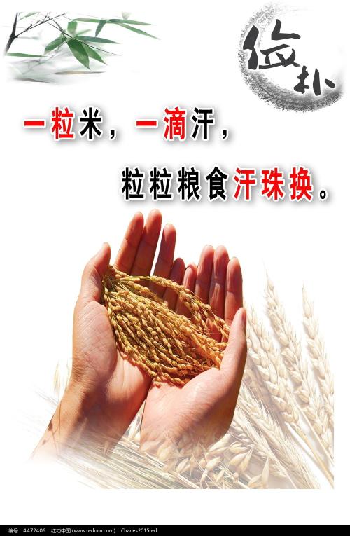 个人不动产证是房产证吗